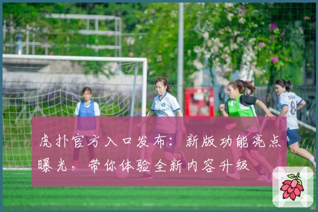 虎扑官方入口发布：新版功能亮点曝光，带你体验全新内容升级