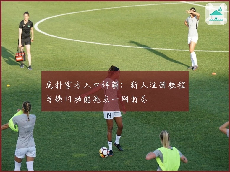 虎扑官方入口详解：新人注册教程与热门功能亮点一网打尽