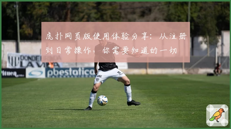 虎扑网页版使用体验分享：从注册到日常操作，你需要知道的一切